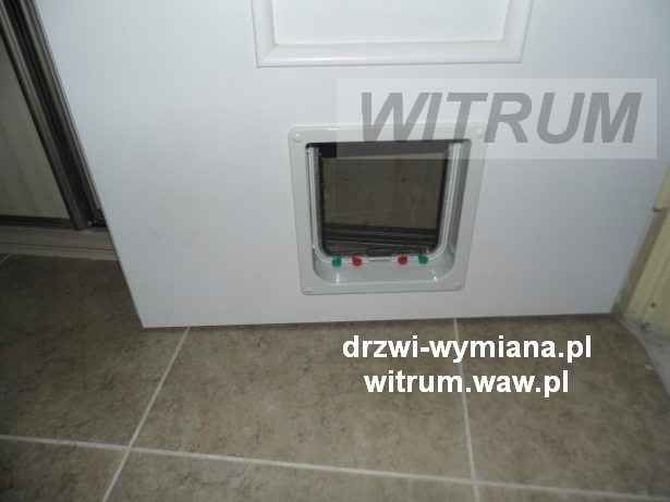 drzwi zamontowane na stare futryny z wejściem dla kota lub psa, widok z przedpokoju